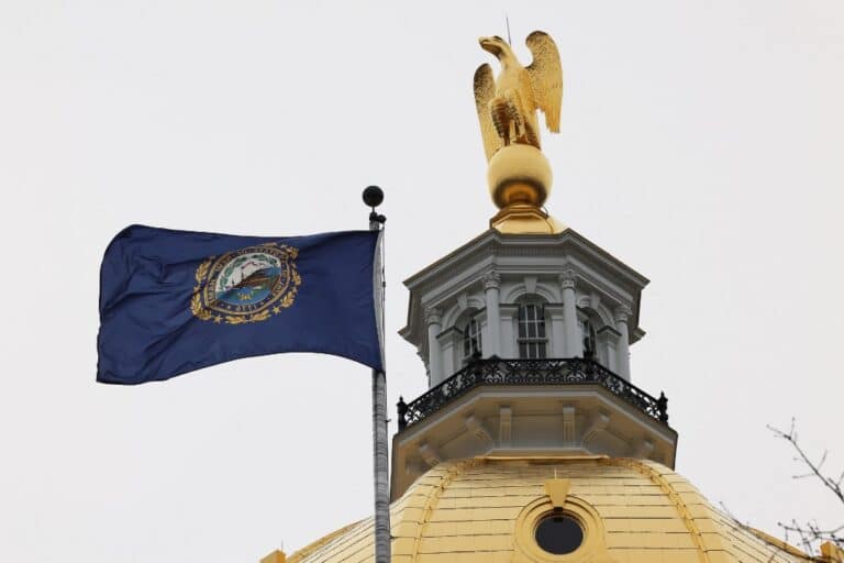 New Hampshire State flag